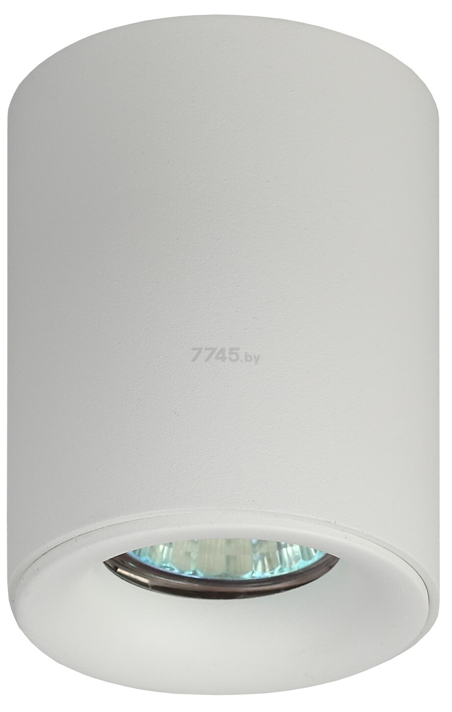 Точечный светильник накладной ЭРА OL1 GU10 WH белый